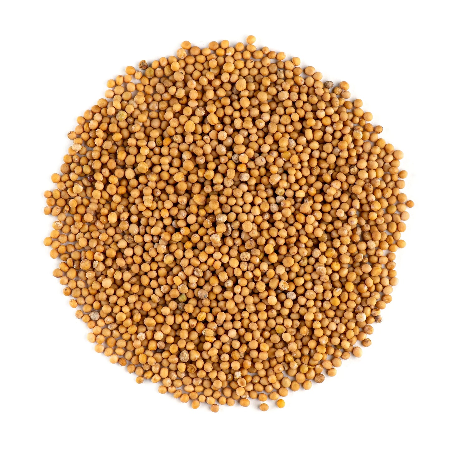 Grain Market Yellow Mustard Seed 200g