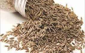 GM Cumin Seed 200g
