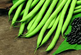 FRENCH BEANS