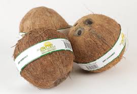 COCONUT DRY BROWN