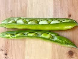 Beans Open
