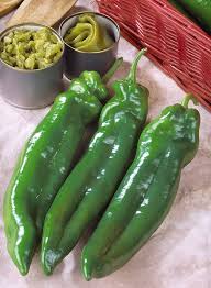 Chilli big