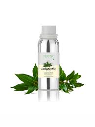 Camphor Oil100 ml