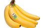 Dole Banana
