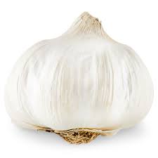 GARLIC