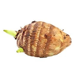 TARO SMALL ARBI $1.59 Lb